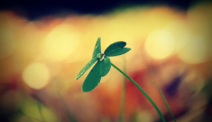 法国遭遇惨败，晋级前景堪忧