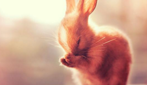 巴勒斯坦主场力克利比亚，壮志凌云