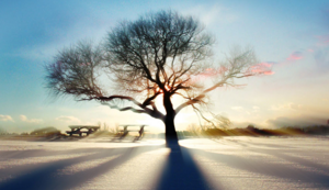 法国遭遇惨败，晋级前景堪忧