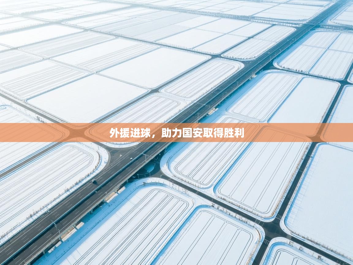 外援进球,助力国安取得胜利 第2张