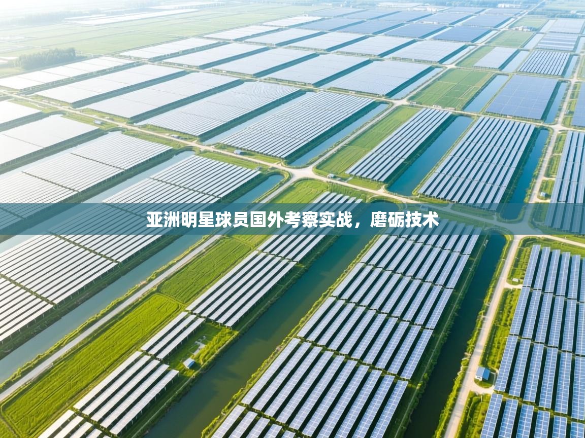 亚洲明星球员国外考察实战，磨砺技术