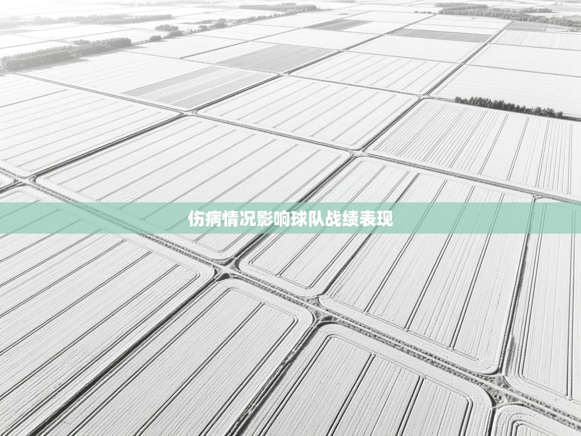 伤病情况影响球队战绩表现
